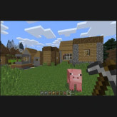 دیسک کارکرده بازی Minecraft ps4