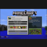دیسک کارکرده بازی Minecraft ps4